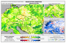 Dopady na vegetaci - Evropa - 28. únor 2021