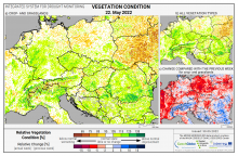 Dopady na vegetaci - Evropa - 22. květen 2022