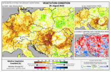 Dopady na vegetaci - Evropa - 28. srpen 2022