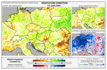Dopady na vegetaci - Evropa - 13. srpen 2023
