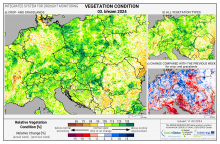 Dopady na vegetaci - Evropa - 3. březen 2024