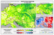 Dopady na vegetaci - Evropa - 12. květen 2024