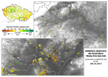 Vegetace trvalých kultur - 8. říjen 2017