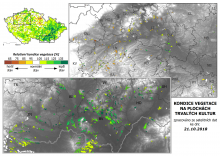 Vegetace trvalých kultur - 21. říjen 2018