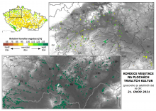 Vegetace trvalých kultur - 21. únor 2021