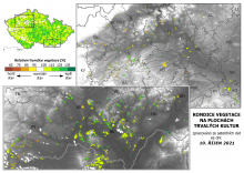Vegetace trvalých kultur - 10. říjen 2021