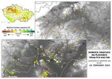 Vegetace trvalých kultur - 10. červenec 2022