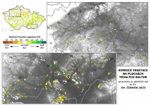 Vegetace trvalých kultur - 4. červen 2023