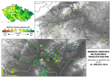 Vegetace trvalých kultur - 10. březen 2024